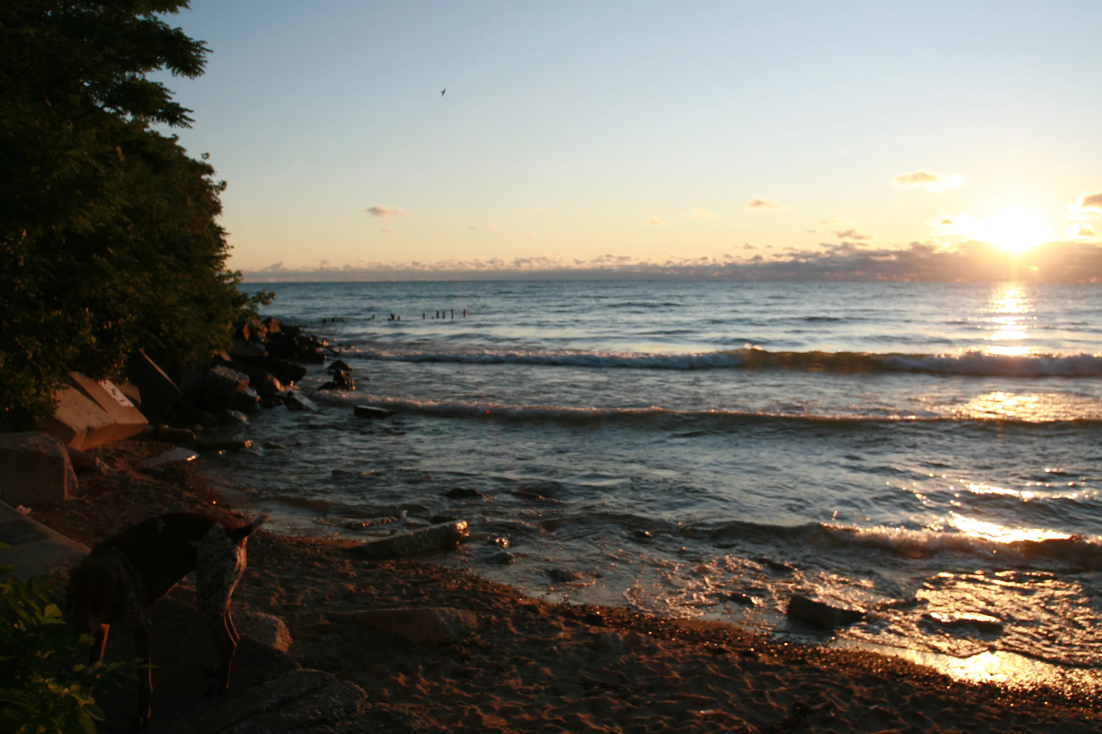 1521  Juneway ave 60626-unit#1E-Chicago-IL