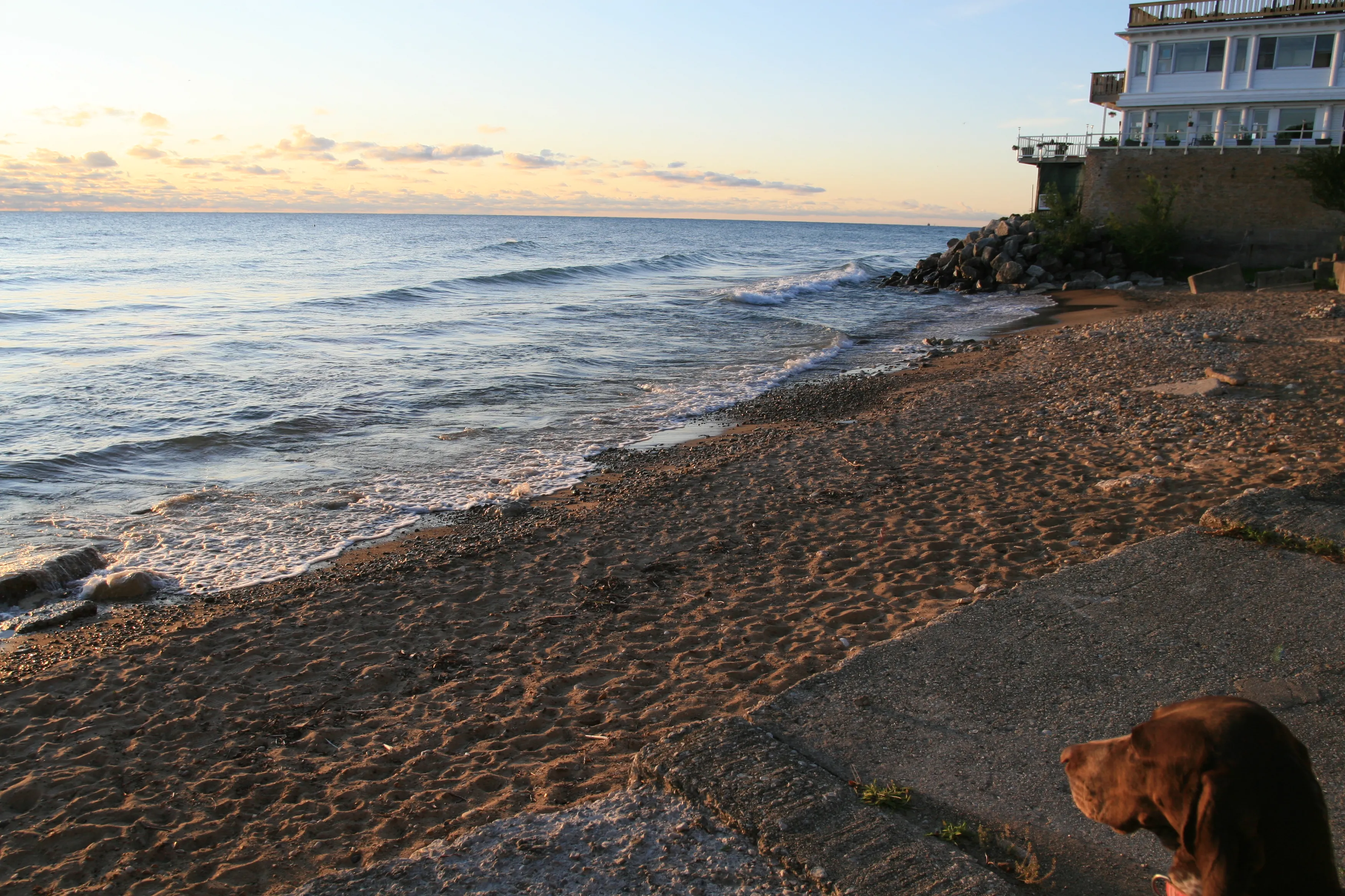 1521  Juneway ave 60626-unit#1E-Chicago-IL