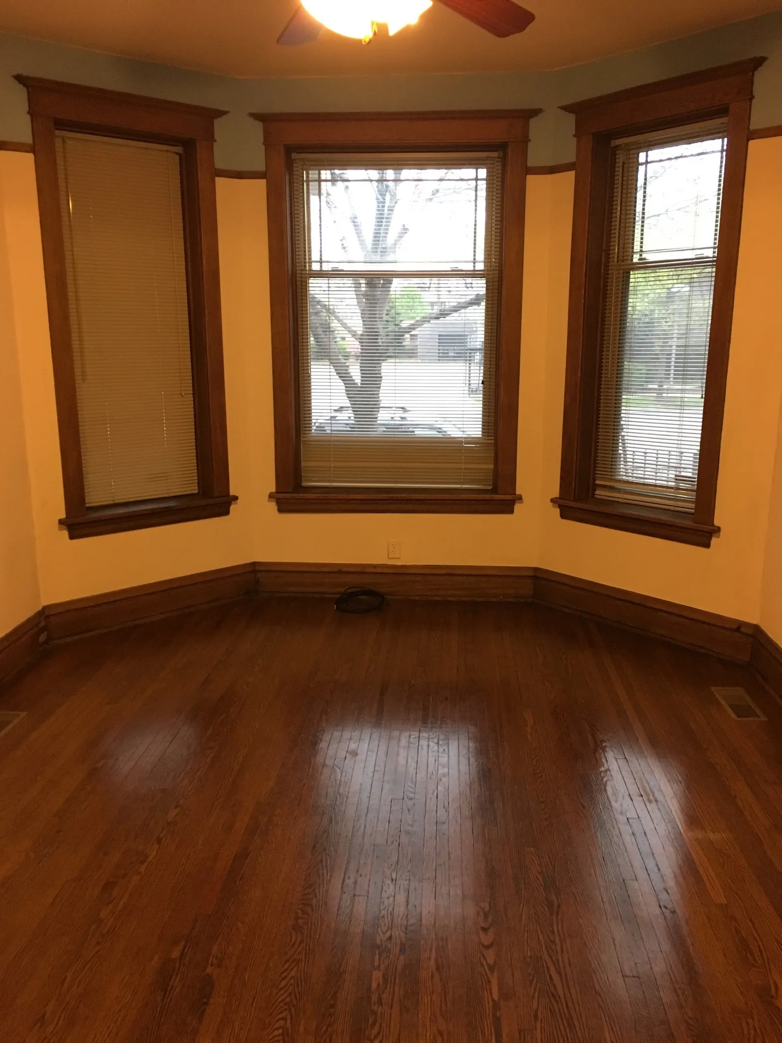 Front Windows