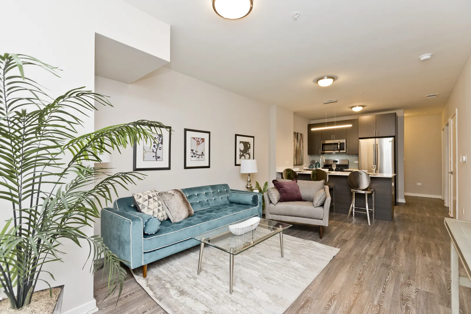 North Park Pointe Apartments