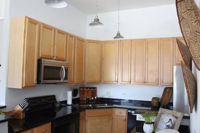 4751 N Artesian 60625-Artesian Condos-unit#201-Chicago-IL