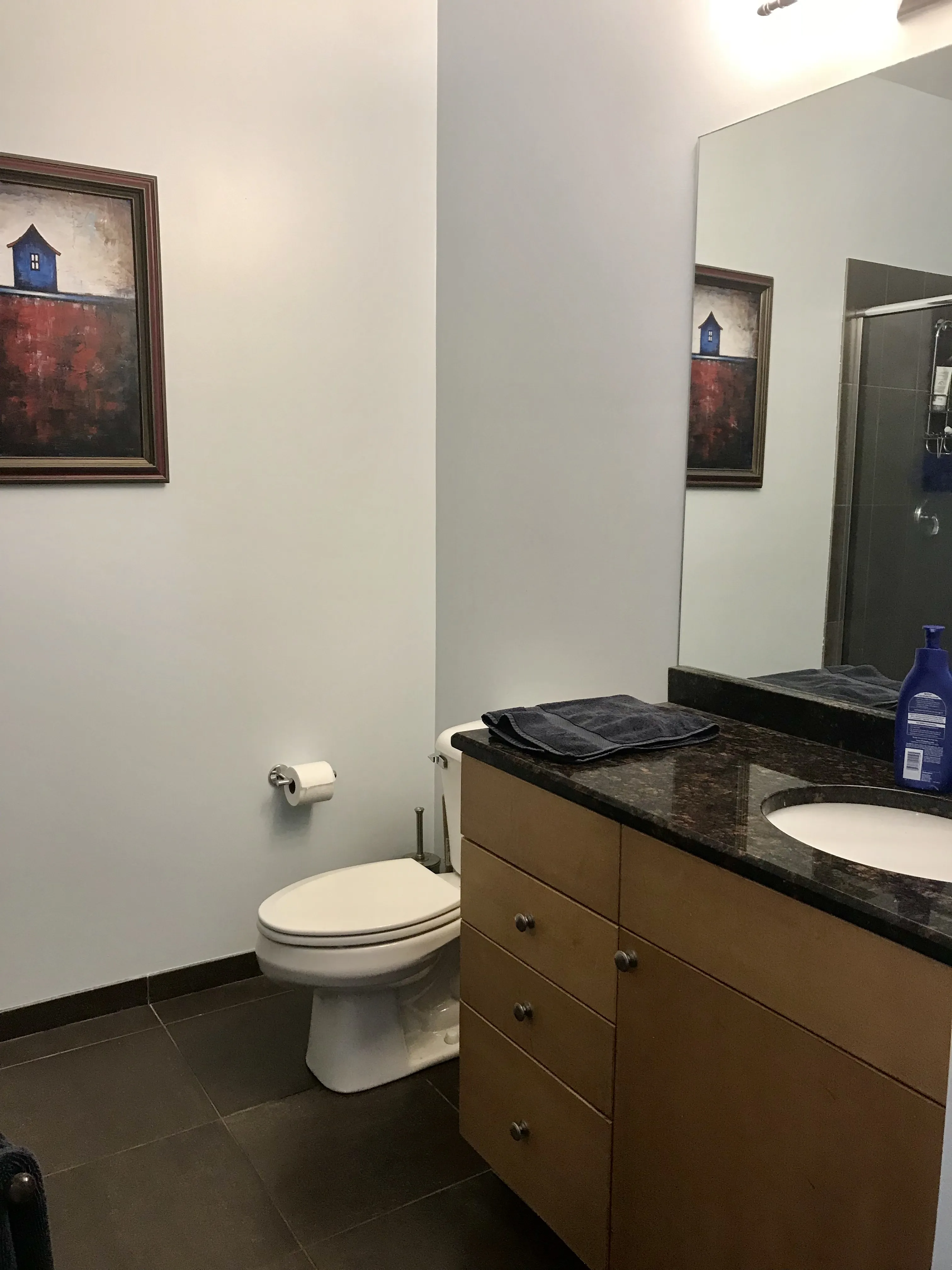 663 W Barry Ave 60657-Quiet, Modern Lakeview Condo-unit#2D-Chicago-IL