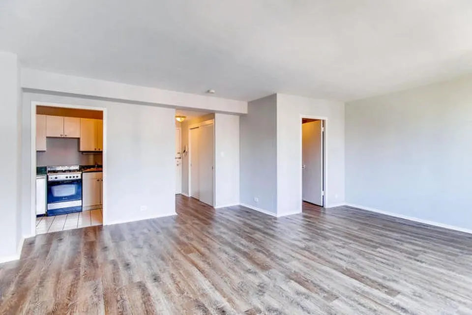 1150 N LAKE SHORE DR 60611-unit#14J-Chicago-IL