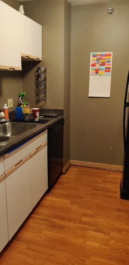 1250 N DEARBORN PKWY 60610-1250 N Dearborn-unit#20D-Chicago-IL