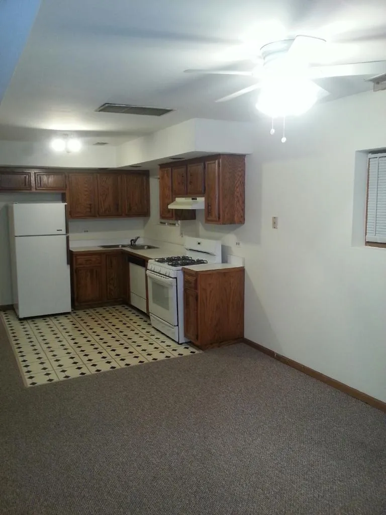 outside front of 3733 North Janssen Apartments in Lakeview Chicago