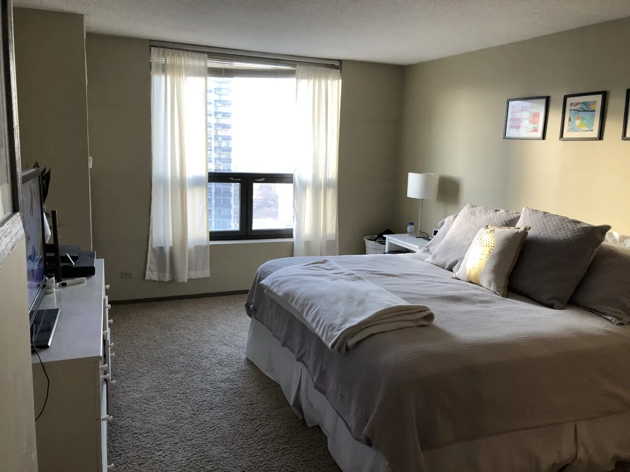 1250 N DEARBORN PKWY 60610-1250 N Dearborn-unit#20D-Chicago-IL