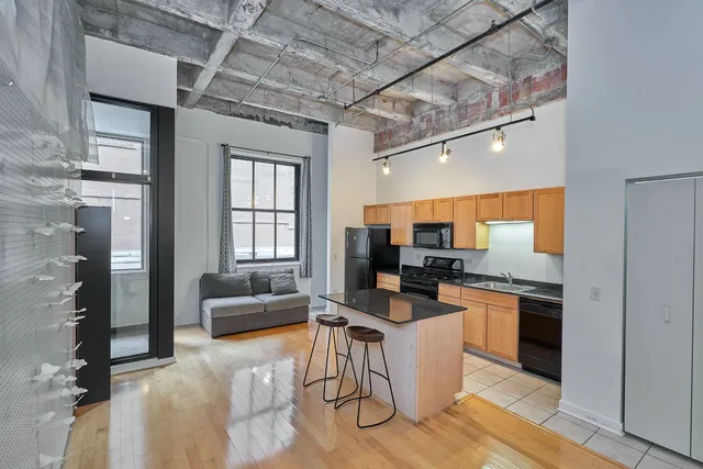 Millenium Park Lofts