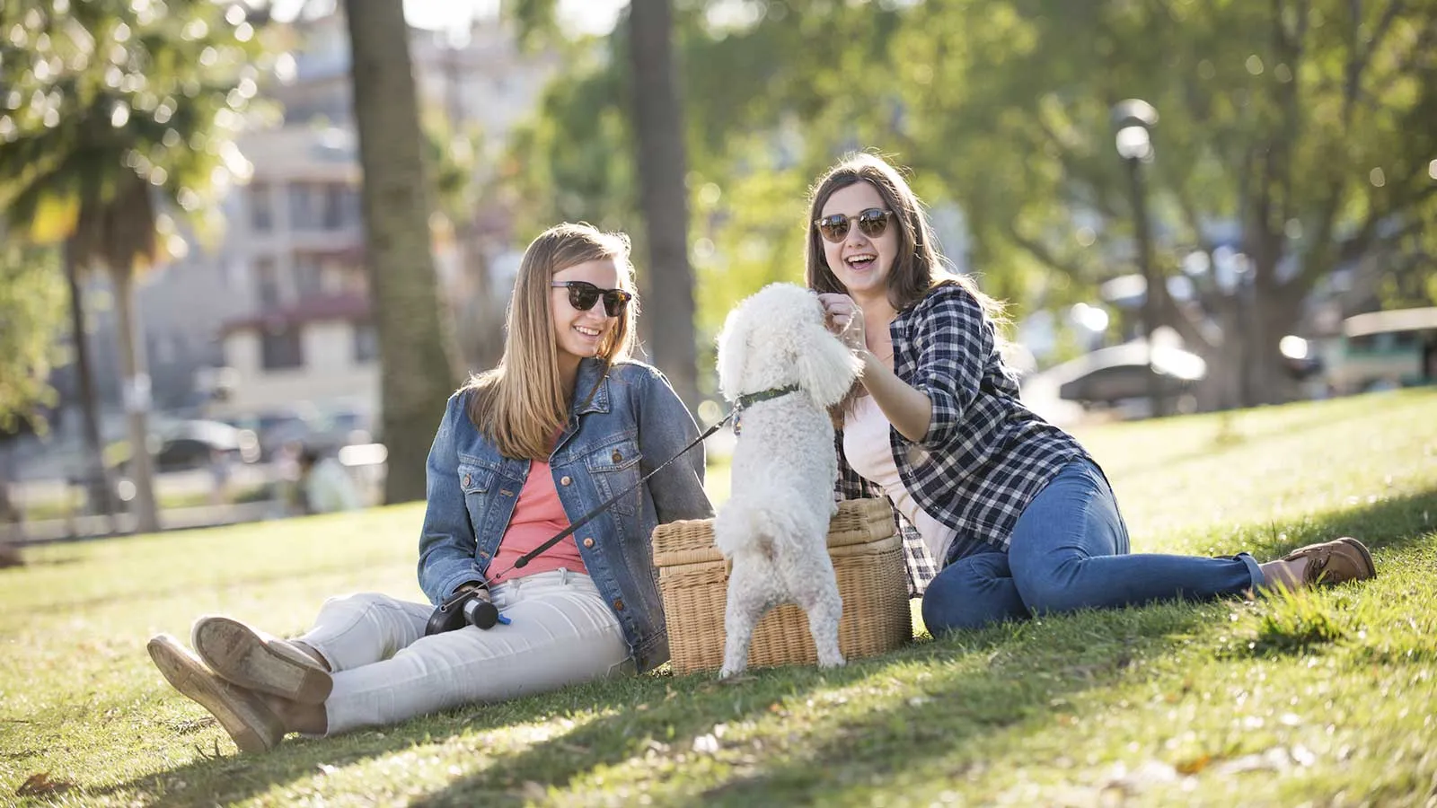 furnished living room at Centrum Lakeview Apartments at 1714 West Roscoe