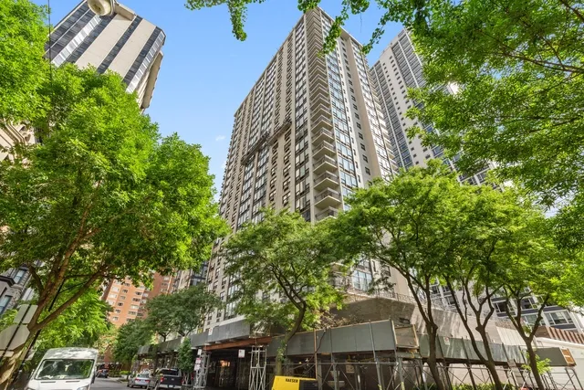 Ritchie Court Apartments for Rent Chicago Domu