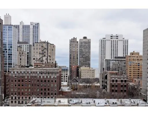 1250 N DEARBORN PKWY 60610-1250 N Dearborn-unit#20D-Chicago-IL