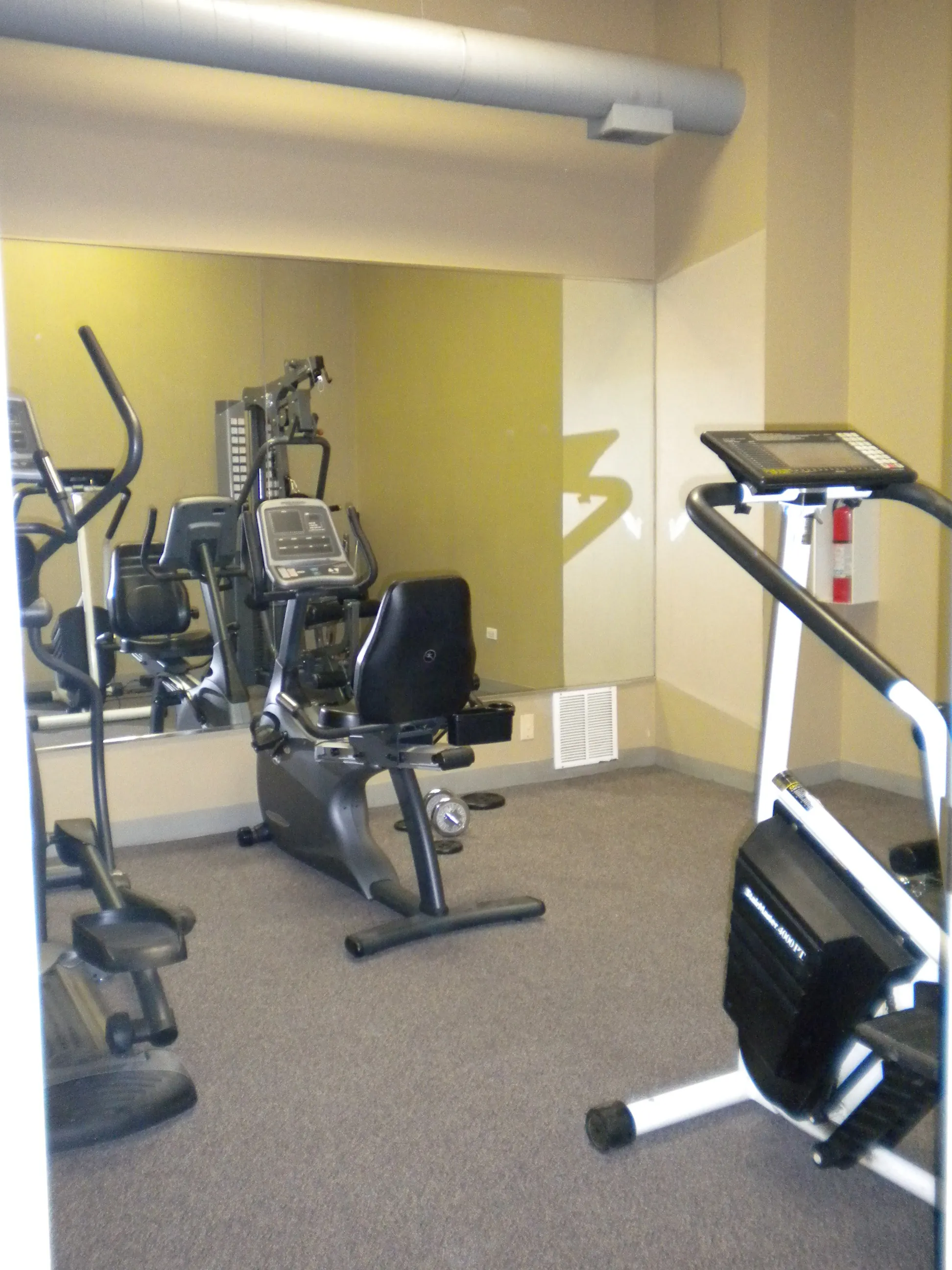 999 W WOLFRAM ST 60657-The Sheffield Lofts-unit#209-Chicago-IL