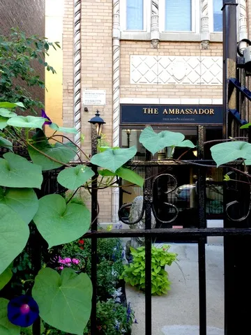 Ambassador Apartments