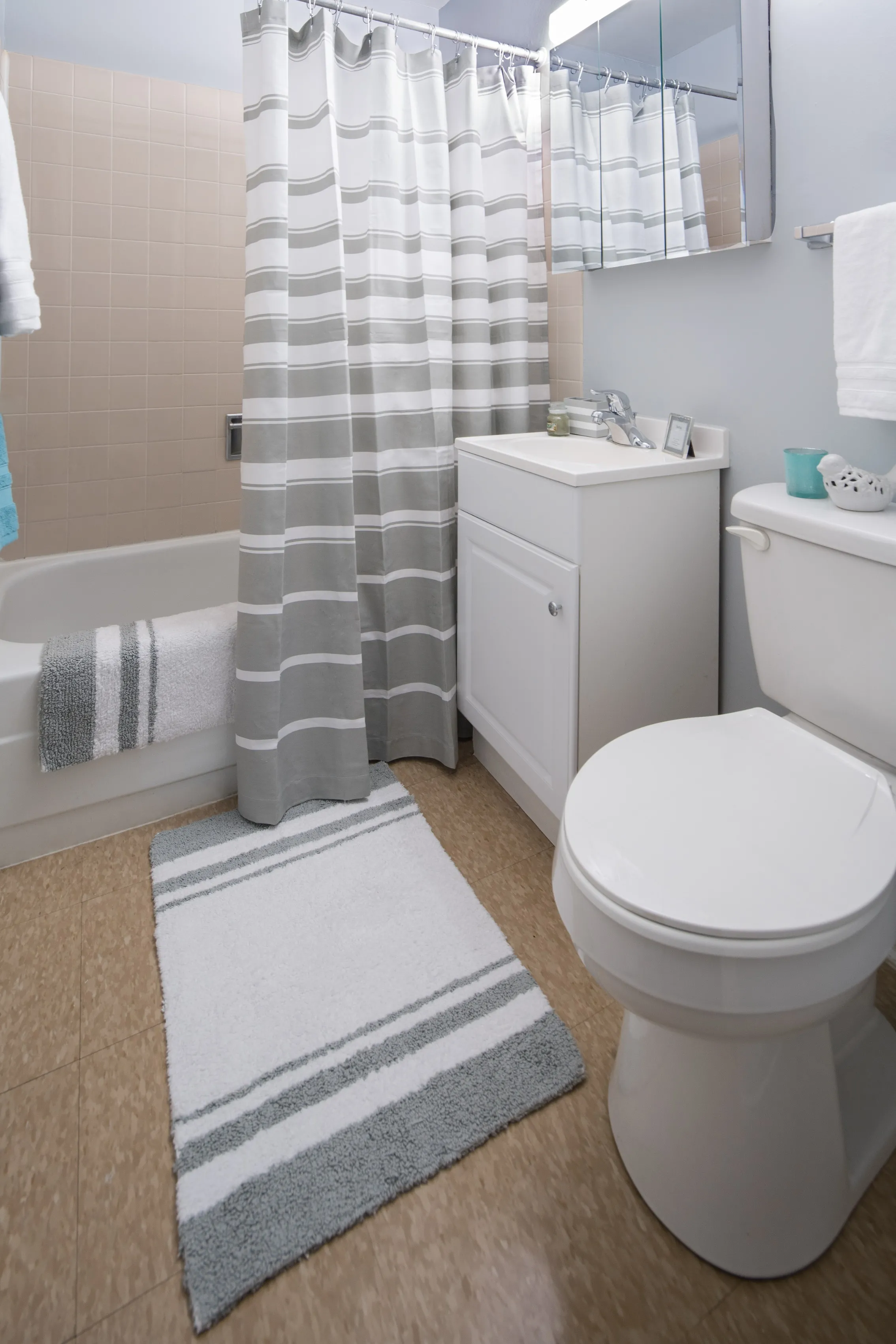 model unit furnished living room at Eden Common Apartments in Bronzeville