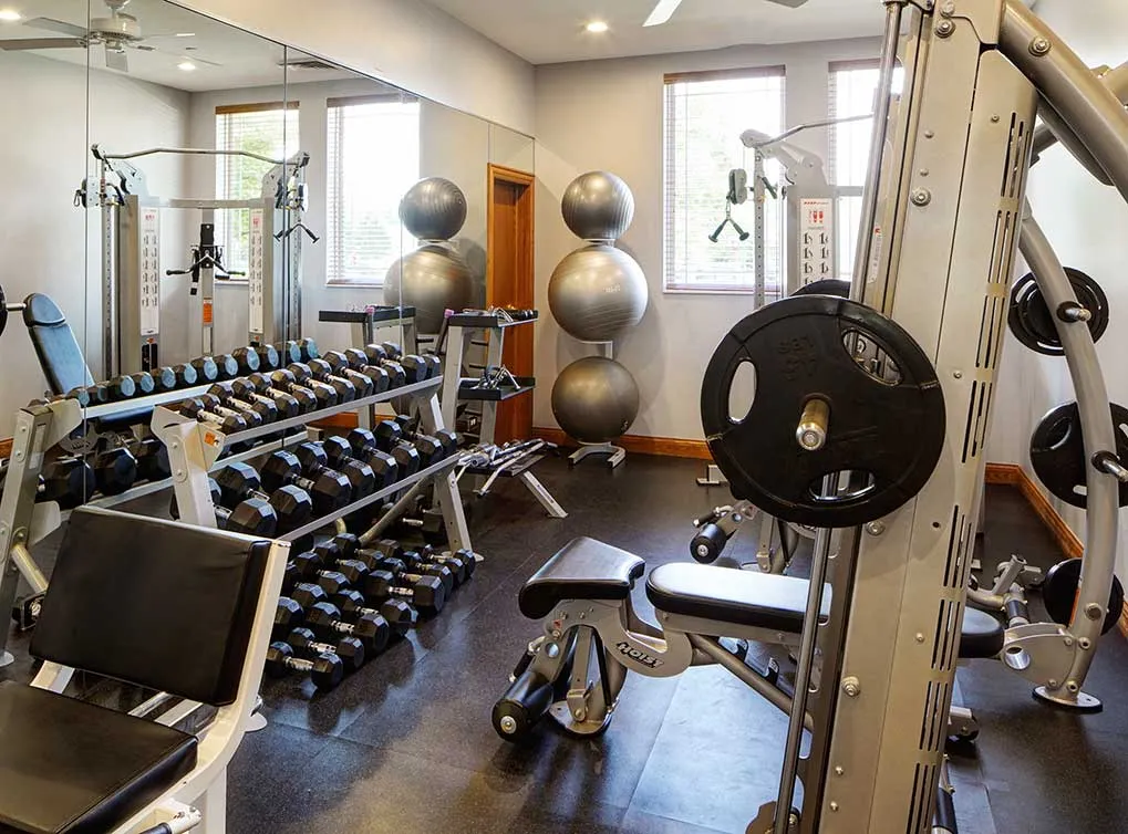 AMLI at Seven Bridges Apartments in Woodbridge, IL