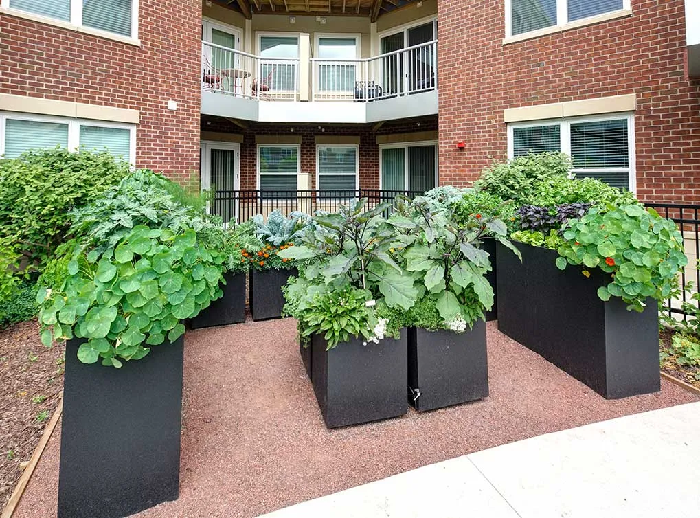 AMLI Deerfield Apartments