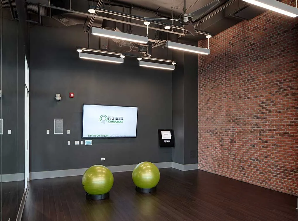 Amli Loft Apartments in the South Loop, Chicago