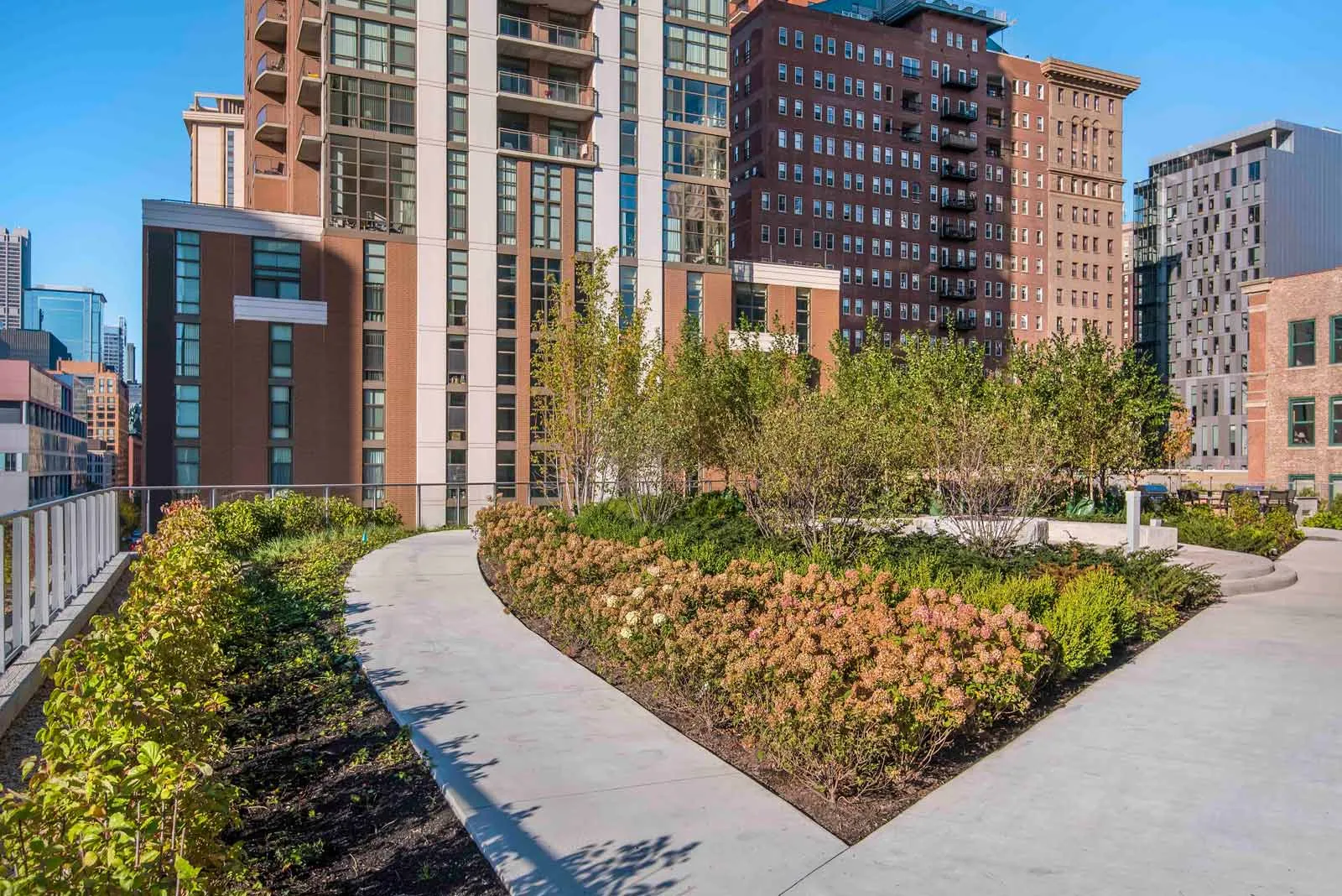 luxury kicthen and island at 1001 South State Apartments in the South Loop