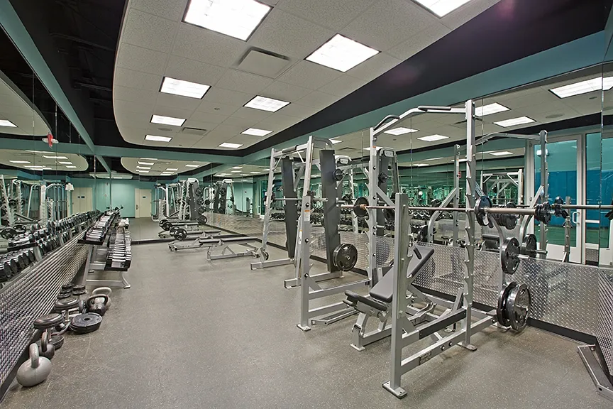 living room with couches at The Streeter in Streeterville