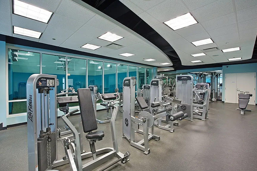 living room with couches at The Streeter in Streeterville
