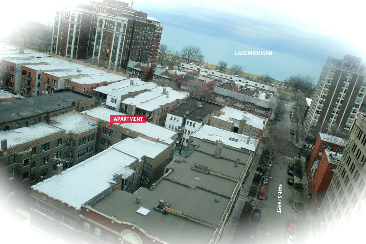 5335 S CORNELL AVE 60615-unit#03-Chicago-IL