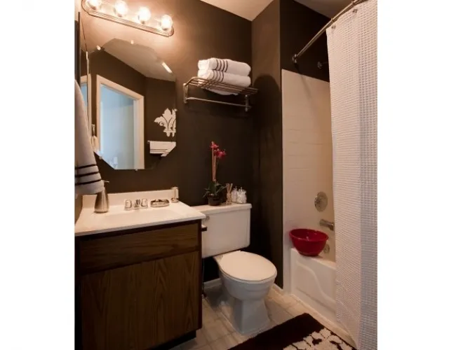 1533  BALDWIN CT 60090-Village Green at Arlington Club-WHEELING-IL