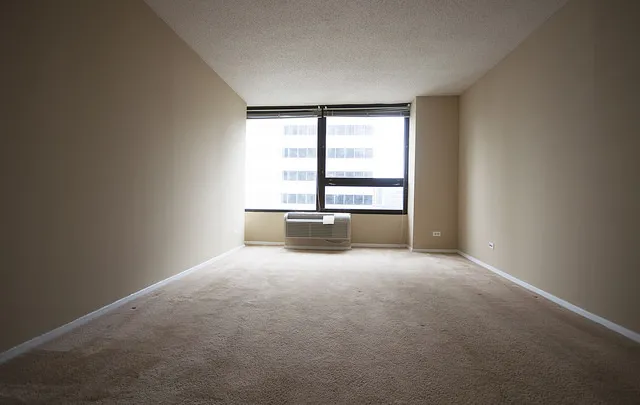 Millennium Park Plaza Apartments