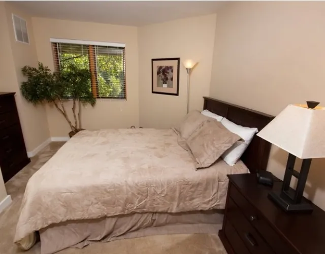 Oak Park City Apartments