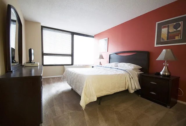 Millennium Park Plaza Apartments