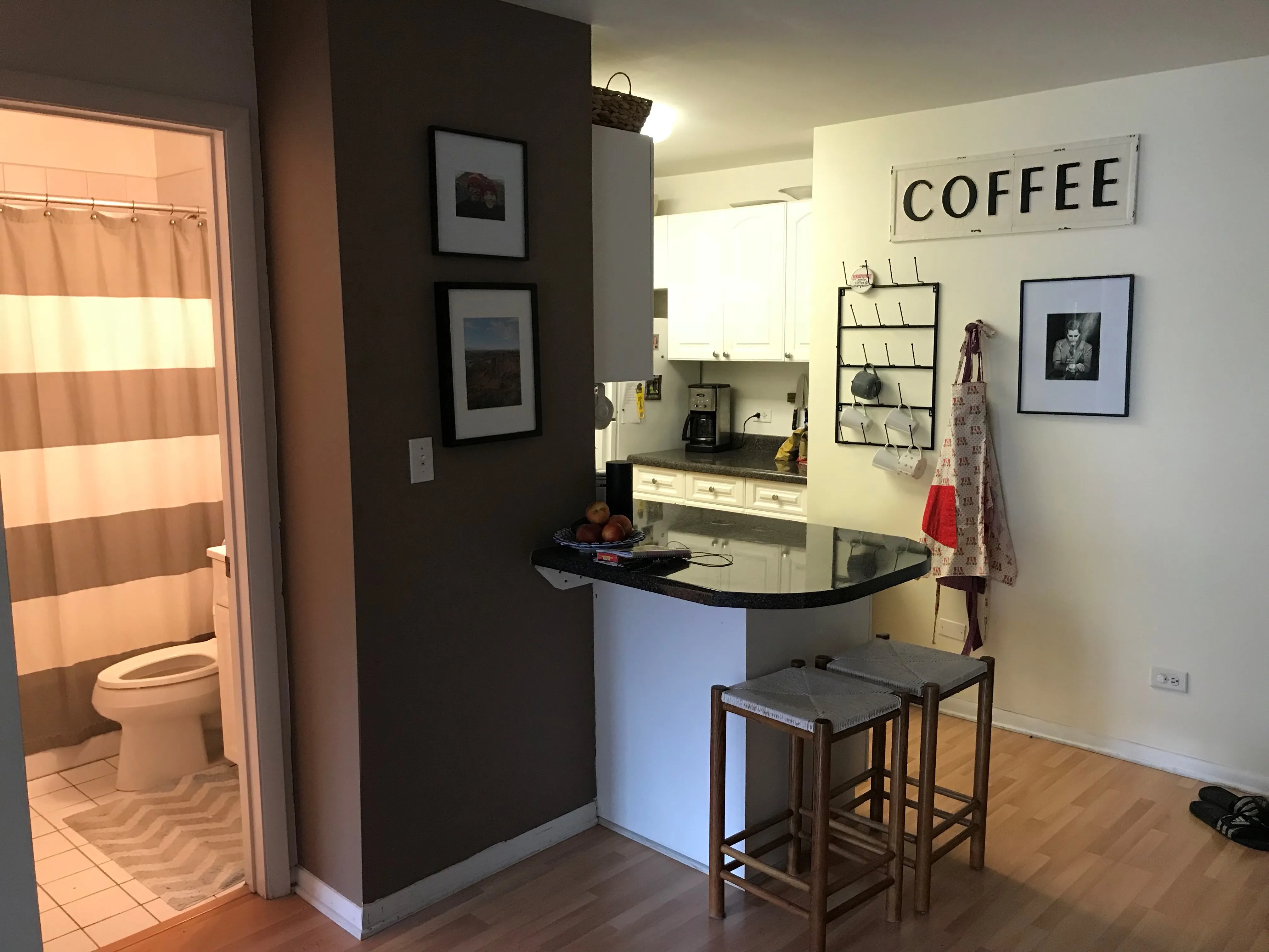 435 W OAKDALE AVE 60657-unit#3E-Chicago-IL