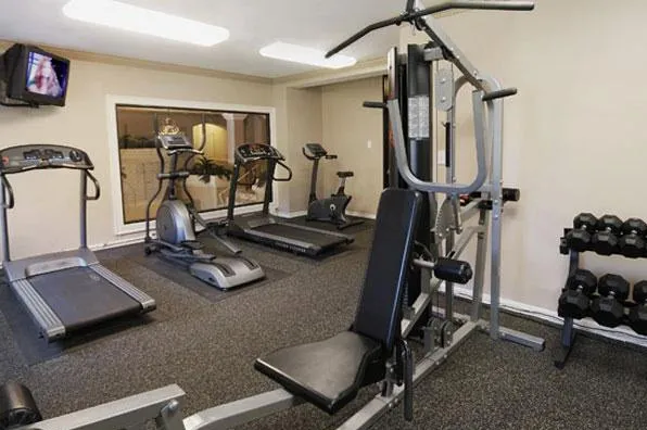 front yard and loggy of Plaisance Apartments inWoodlawn Chicago