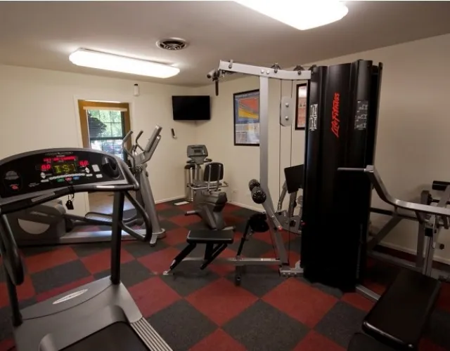 1533  BALDWIN CT 60090-Village Green at Arlington Club-WHEELING-IL