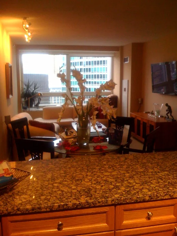 512 N MCCLURG CT 60611-The Residences of River East-unit#3611-Chicago-IL