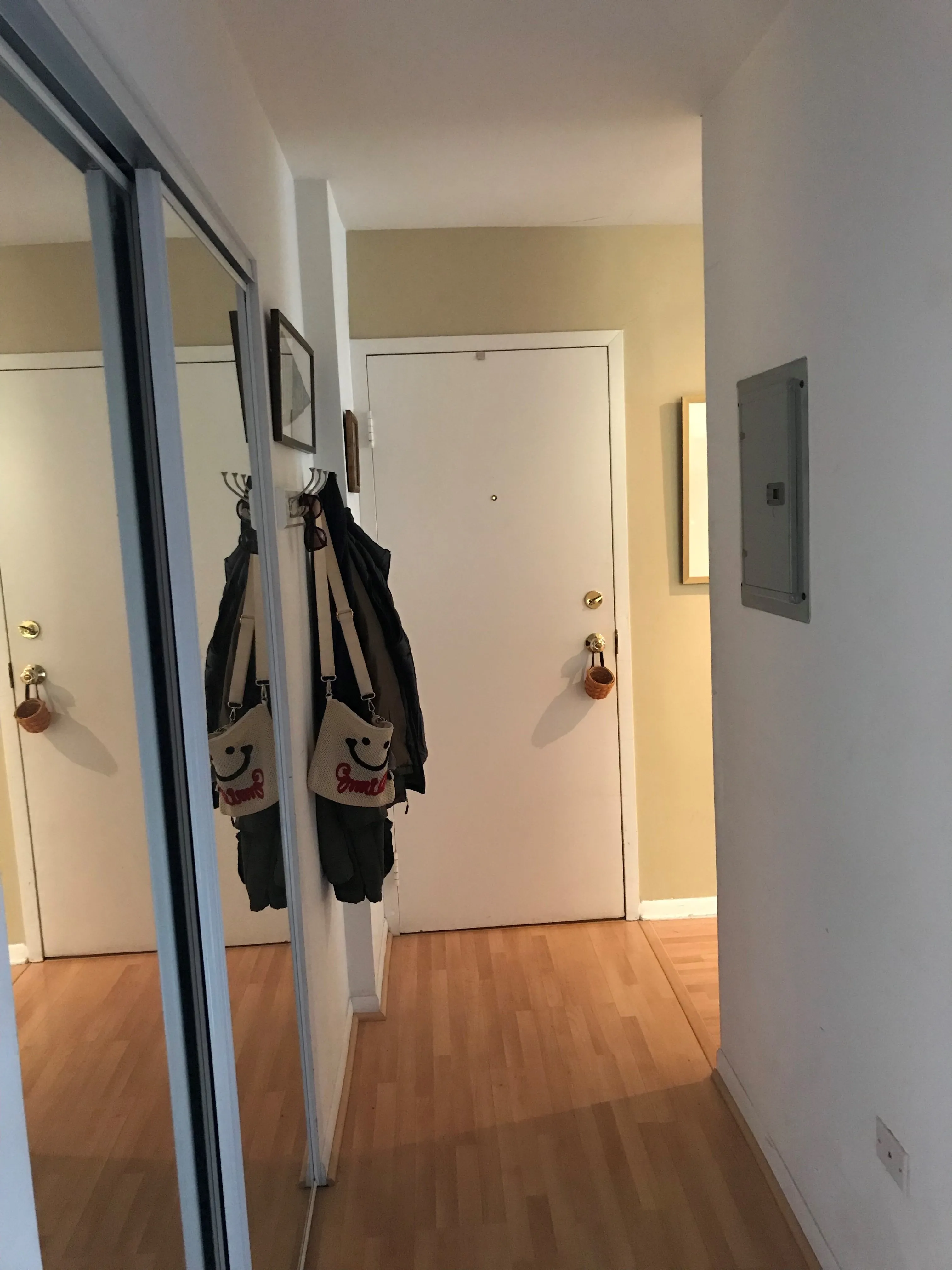 435 W OAKDALE AVE 60657-unit#3E-Chicago-IL