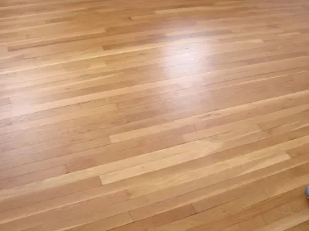 Hardwood floors throughout the entire apartment (excluding kitchen and bathroo)