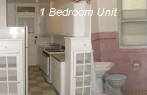 kitchen/bathroom: 1 bedroom 1639-1651 W Touhy Apartments