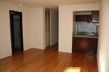 tree in front of lobby of 1055 West Catalpa Apartments in Edgewater Chicago