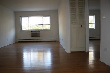 tree in front of lobby of 1055 West Catalpa Apartments in Edgewater Chicago