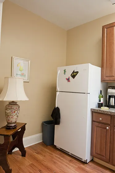 561 LINCOLN AVE 60093-561 Lincoln-WINNETKA-IL