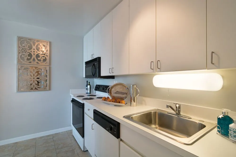 Standard Kitchen Finishes *upgrades available in select units