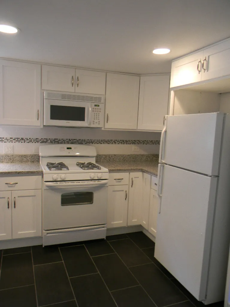 4714 N SPRINGFIELD AVE 60625-Springfield Ave Apartment-unit#01-Chicago-IL