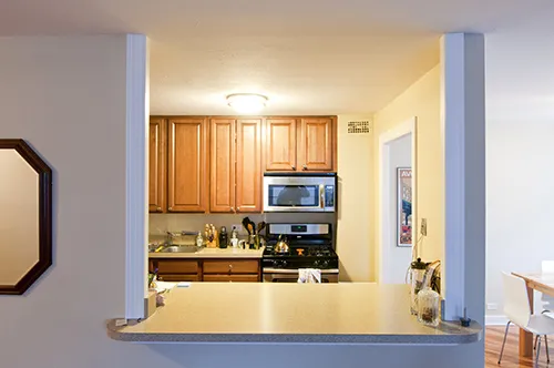 1420 Chicago Apartments