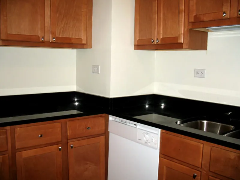 courtyard with trees, bushes and dark brick building at 921-929 W Oakdale