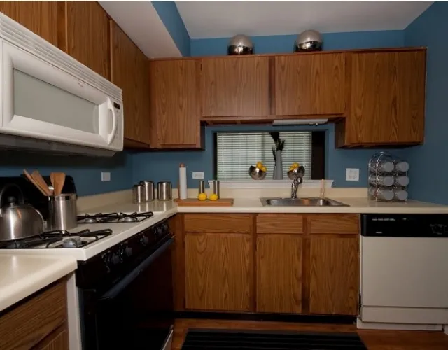 1533  BALDWIN CT 60090-Village Green at Arlington Club-WHEELING-IL