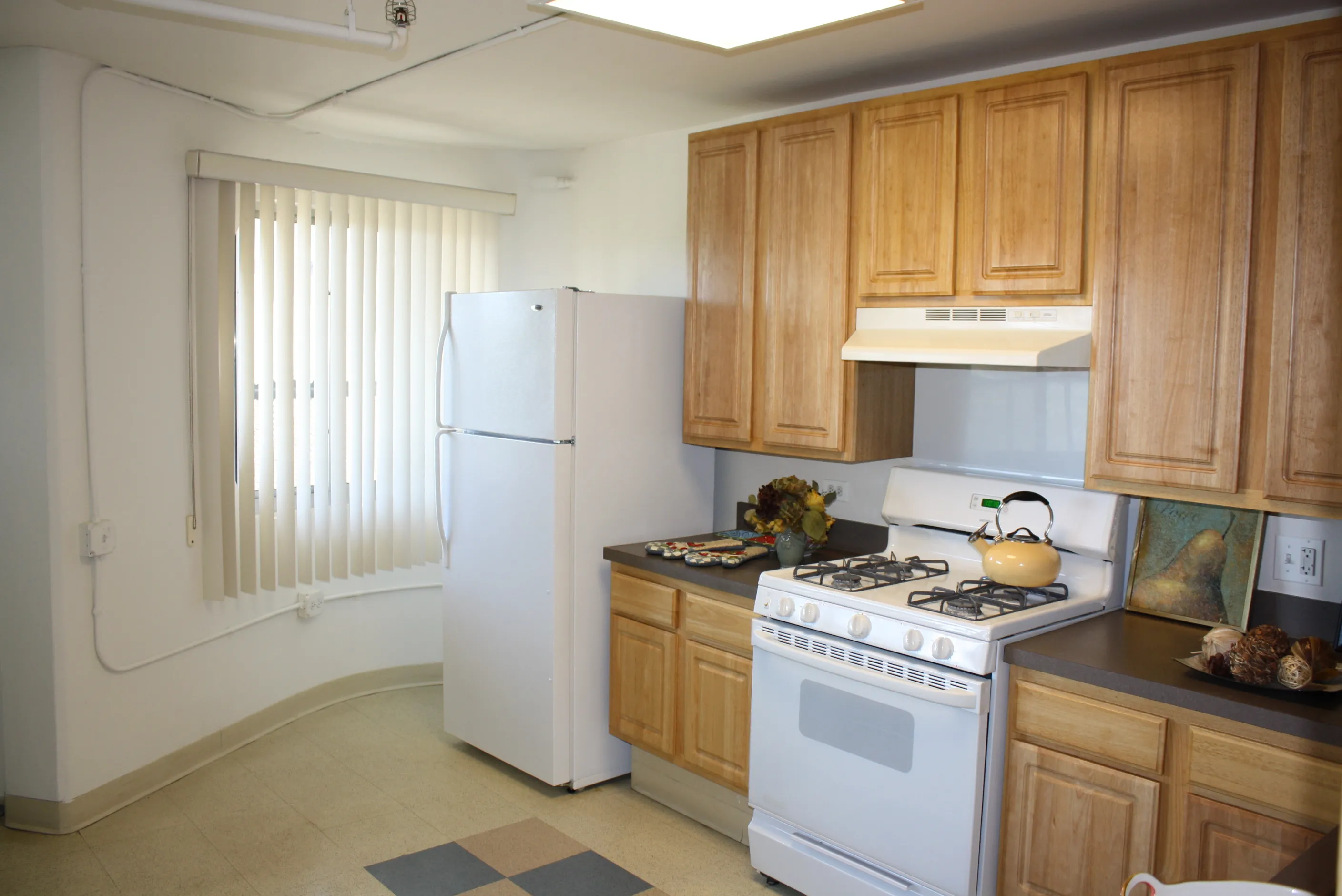 full building view of Hilliard Towers Senior Apartments in the South Loop