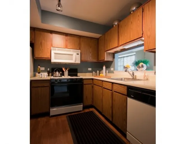 1533  BALDWIN CT 60090-Village Green at Arlington Club-WHEELING-IL