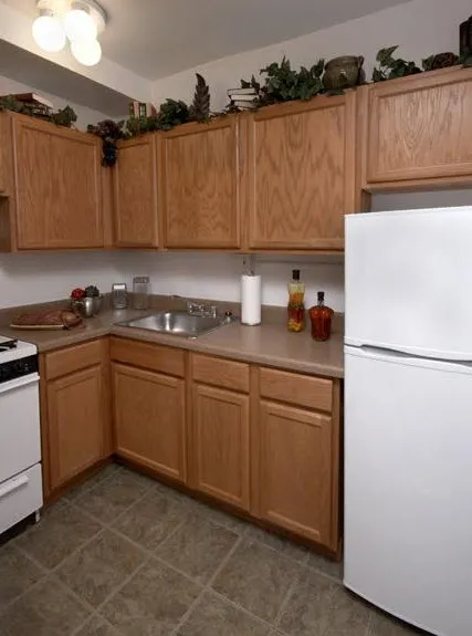 front yard and loggy of Plaisance Apartments inWoodlawn Chicago