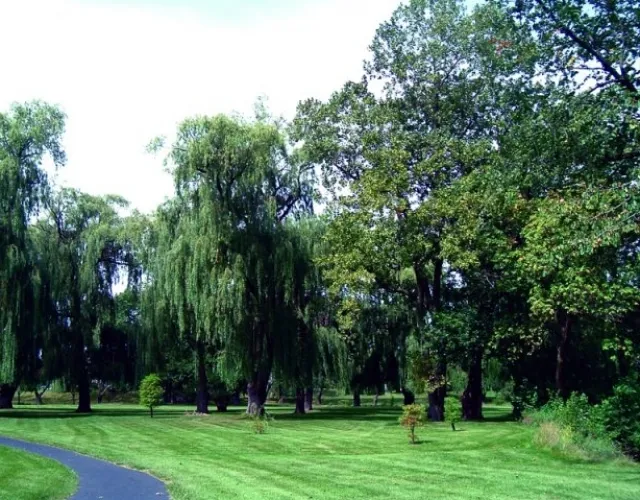 1533  BALDWIN CT 60090-Village Green at Arlington Club-WHEELING-IL