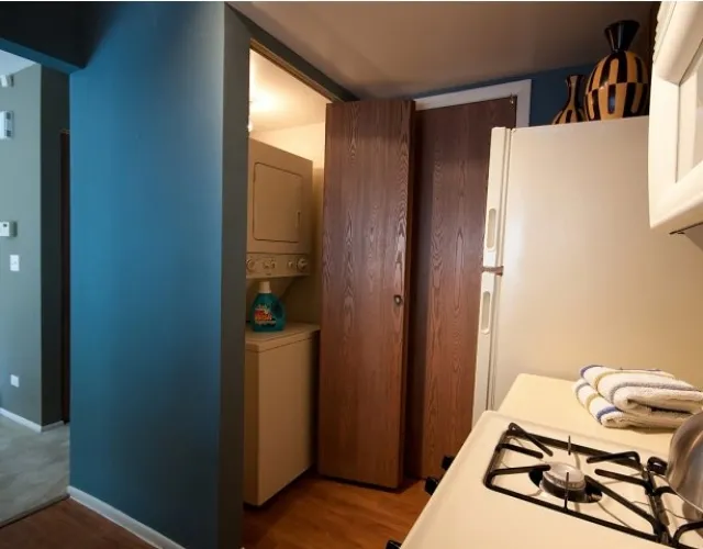 1533  BALDWIN CT 60090-Village Green at Arlington Club-WHEELING-IL