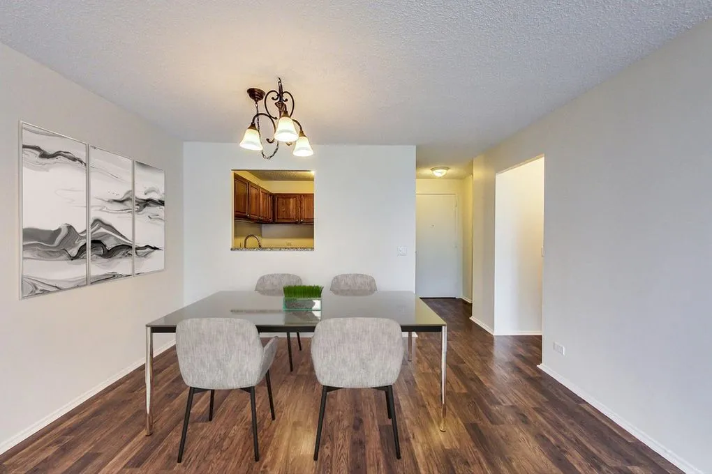 801 S PLYMOUTH CT 60605-unit#1110-Chicago-IL