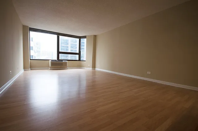 Millennium Park Plaza Apartments